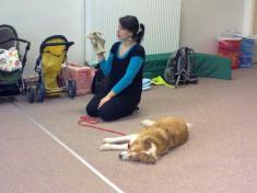 Canis 1
