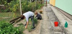 Projekt: Měsíc školních zahrad
