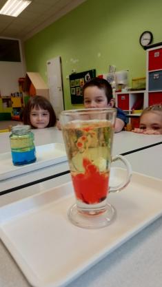 MŠ Diváky - týden s tématem Vydrýsek zkoumá